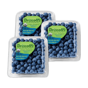 Fresh Blueberry Spain